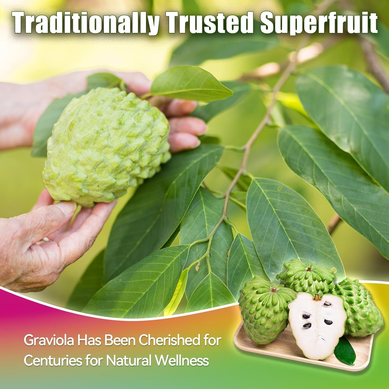 Soursop Bitters Liquid, Soursop Multivitamin Drops - 2000mg 10:1 Extract from Fruit & Leaf, Vitamin B6, C, D3, Graviola Liquid Drops | Vegan, Non-GMO | 2 Fl Oz