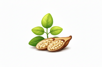 Moringa