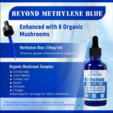Vyxion Methylene Blue Drops (1% Pharma Grade, USP Grade) 10mg + Organic Mushroom Complex (Cordyceps, Turkey Tail, Lion’s Mane, Chaga, Reishi, Shiitake), Brain Health, No Formaldehyde, 60 ml Bottle