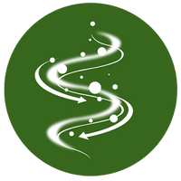 Supports Natural Detoxification