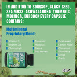 VYXION 20-IN-1 Soursop Sea Moss Ashwagandha Black Seed Oil Moringa Turmeric Extract bundled Herbal Supplement, Organic Soursop, 60 Capsules
