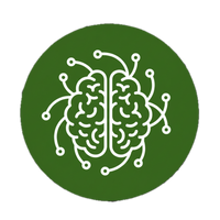 Supports Cognitive Function