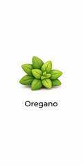 Oregano