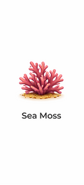 Sea Moss
